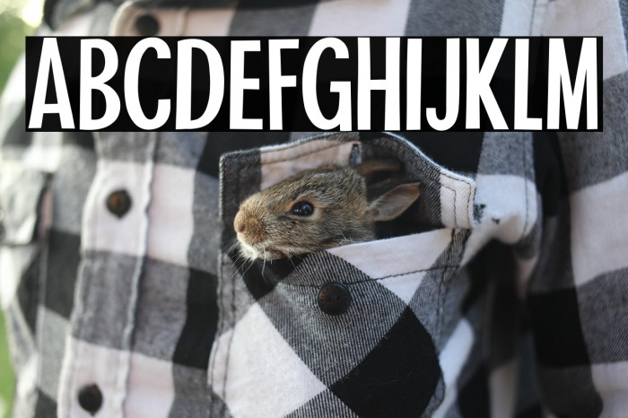 Tahiti Sans Example 2