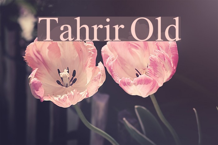 Tahrir Old Font examples