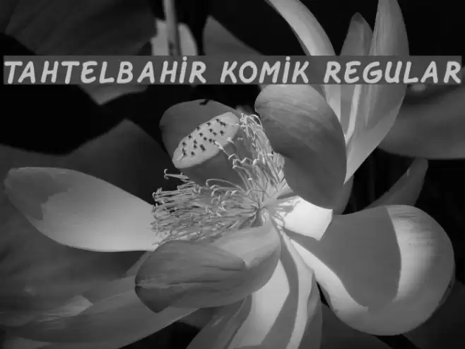 Tahtelbahir komik Regular Font examples
