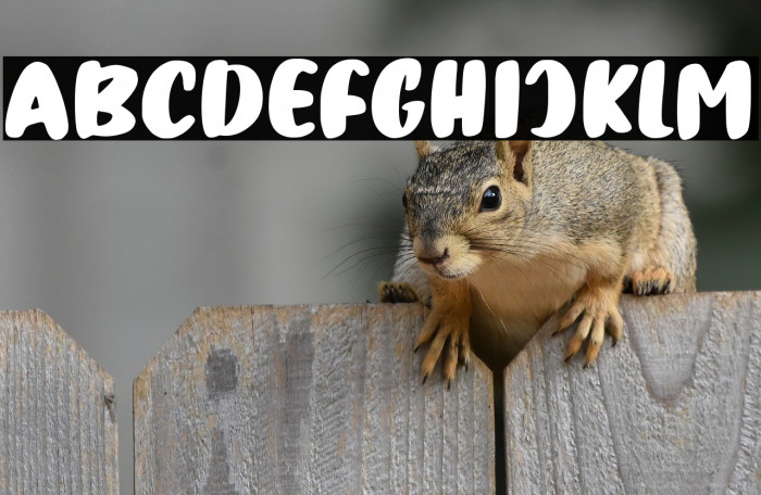 Tahu Kotak Example 3