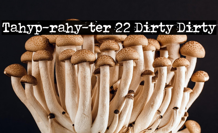 Tahyp-rahy-ter 22 Dirty Dirty Example 2