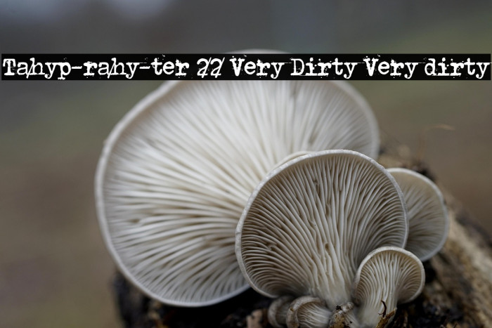 Tahyp-rahy-ter 22 Very Dirty Very dirty Example 2