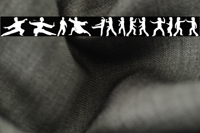 Tai-Chi Silhouette Example 2