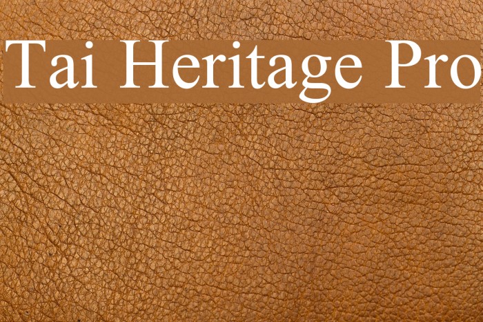 Tai Heritage Pro Polices examples