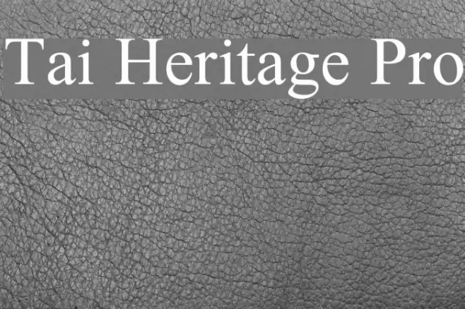 Tai Heritage Pro Font examples