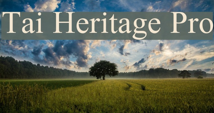 Tai Heritage Pro Polices examples