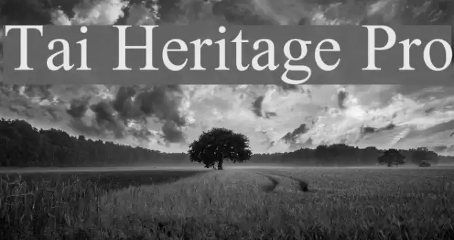 Tai Heritage Pro Font examples