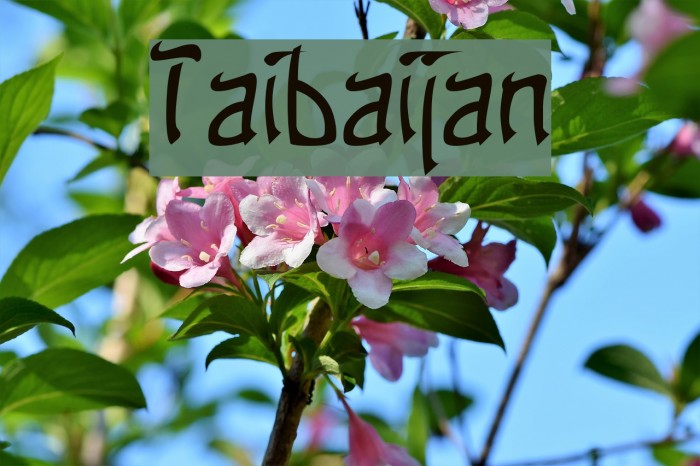 Taibaijan Font examples
