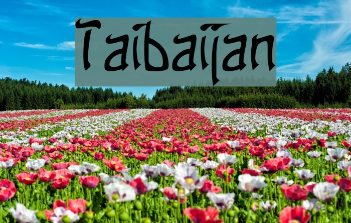 Taibaijan Font examples