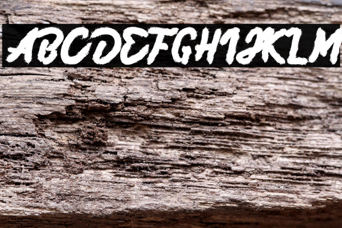 Taifun Script  Example 2