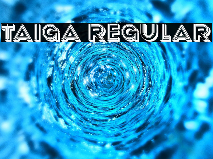 Taiga Regular Example 1