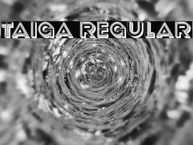 Taiga Regular Font examples