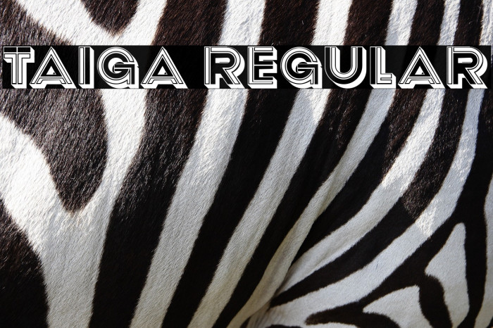 Taiga Regular Example 2