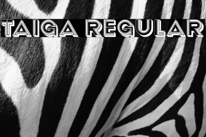 Taiga Regular Font examples