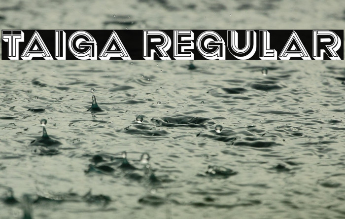Taiga Regular Example 3