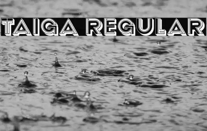 Taiga Regular Font examples