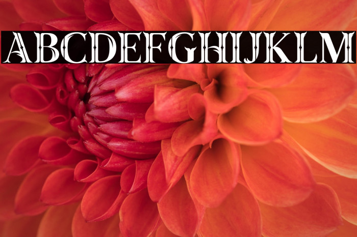 Taiganja Type Example 1