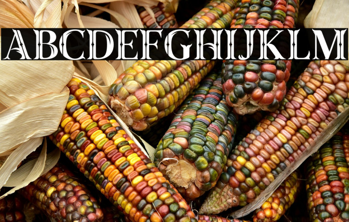 Taiganja Type Example 2