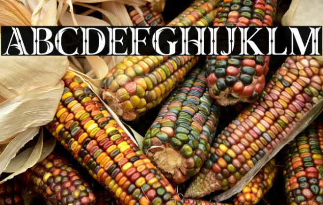 Taiganja Type Example 2