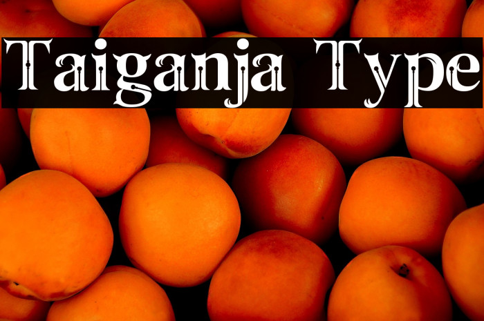 Taiganja Type Example 1