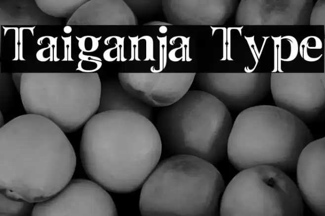 Taiganja Type Font examples