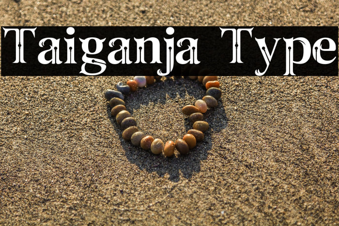 Taiganja Type Example 3