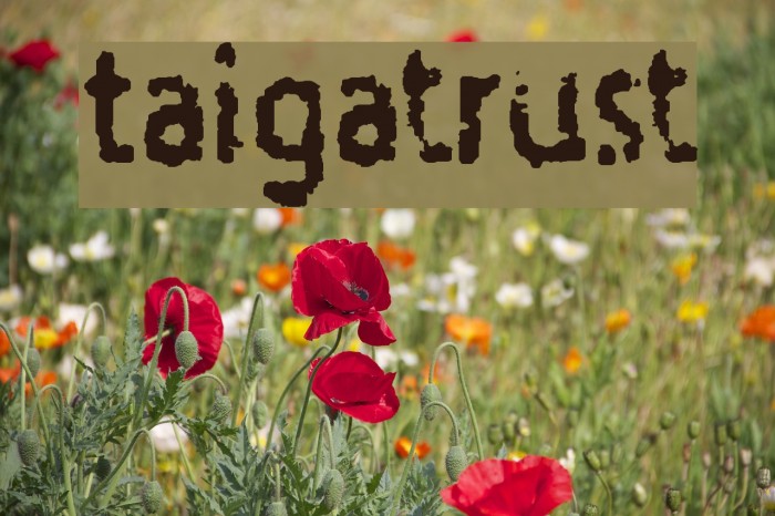 Taigatrust لخطوط تنزيل examples
