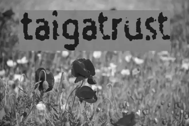 Taigatrust خط examples