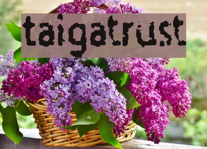 Taigatrust لخطوط تنزيل examples