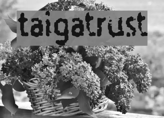 Taigatrust خط examples