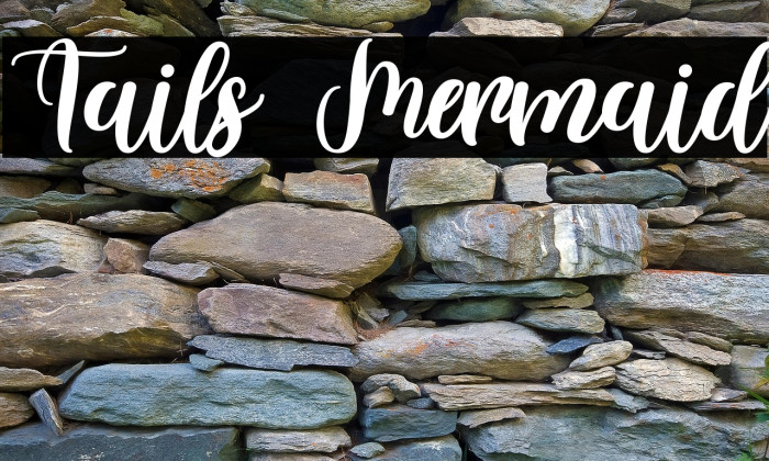 Tails Mermaid Example 2