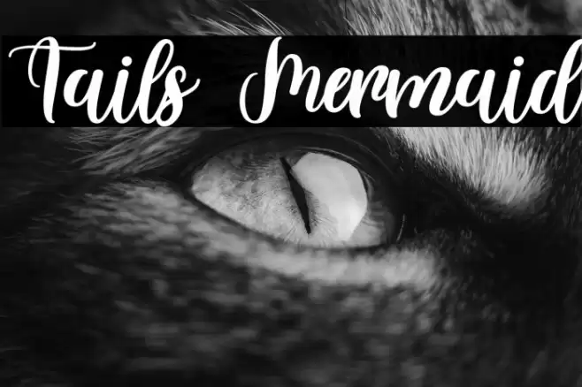 Tails Mermaid Font examples