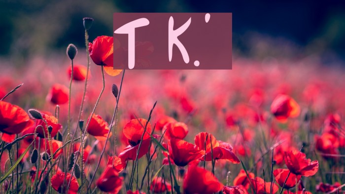 Taira K.'s messynezz Font examples