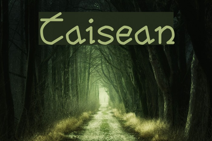Taisean Font examples