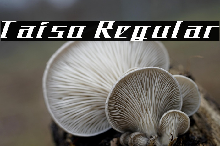 Taiso Regular Example 2