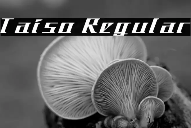Taiso Regular Fuentes examples