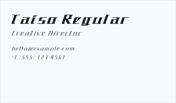 Taiso Regular Business Card
