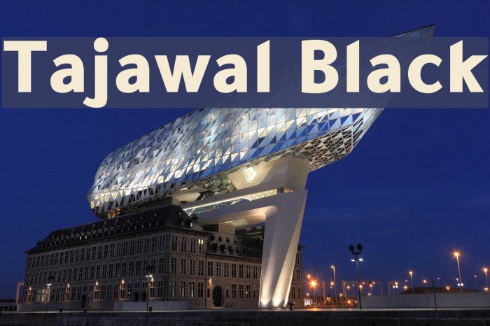Tajawal Black Font examples