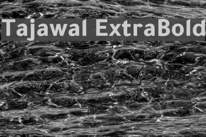 Tajawal ExtraBold Font examples