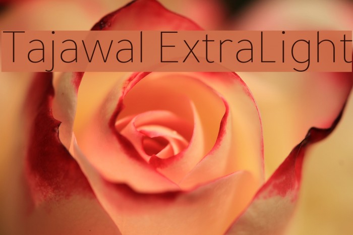 Tajawal ExtraLight لخطوط تنزيل examples