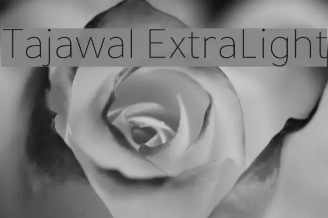 Tajawal ExtraLight خط examples
