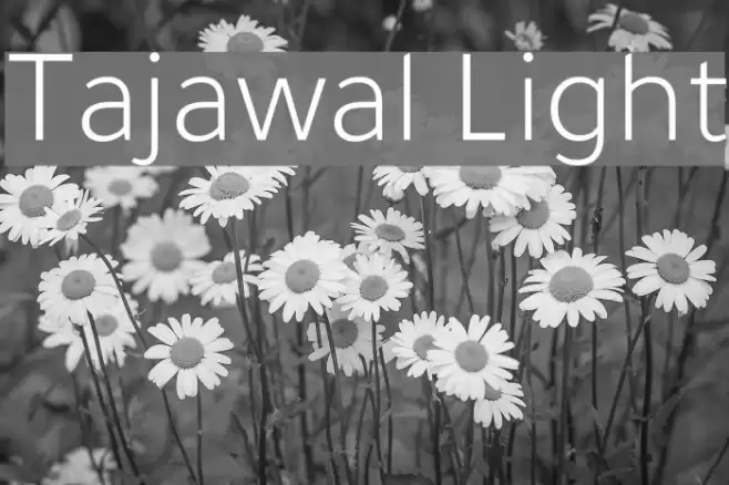Tajawal Light Font examples
