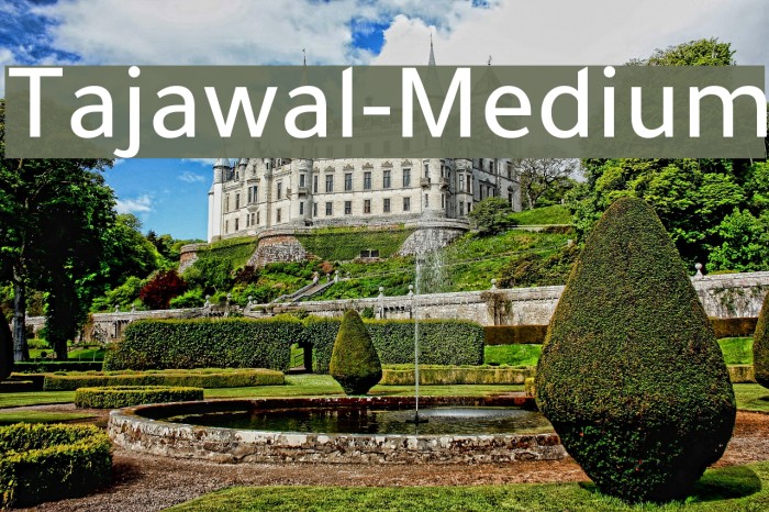 Tajawal-Medium Font examples