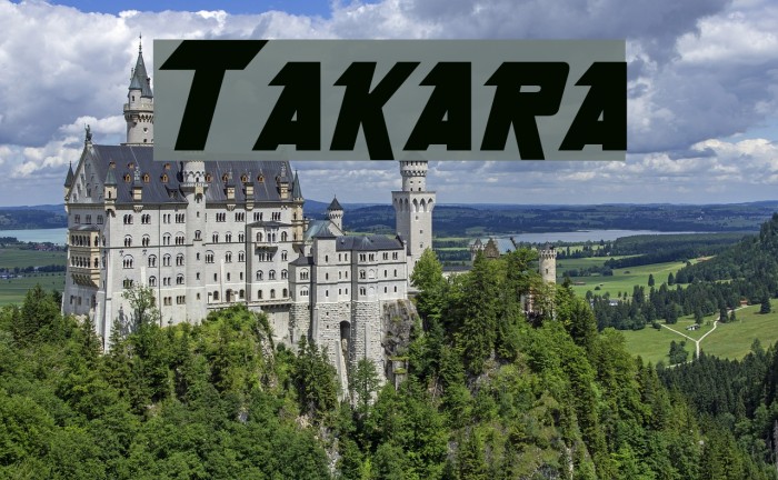 Takara Schriftart examples