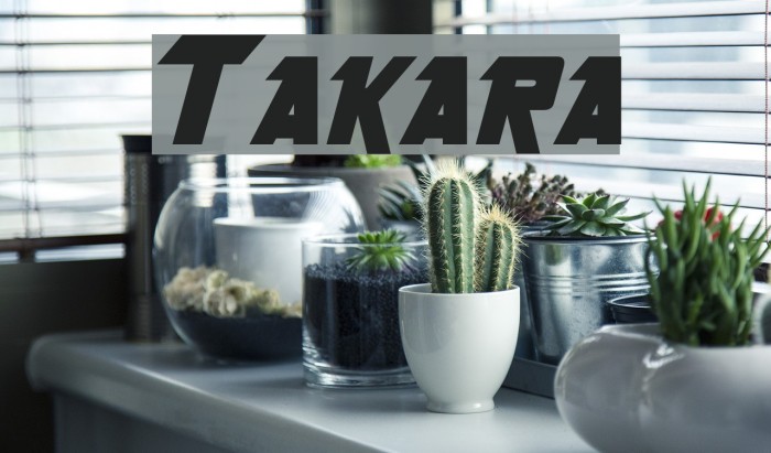Takara Schriftart examples
