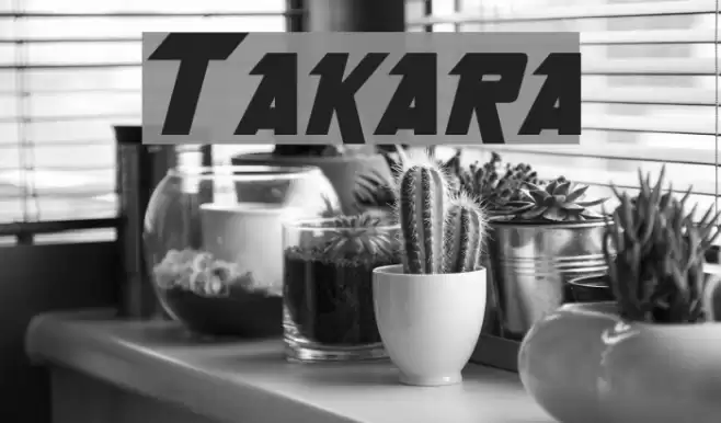 Takara Schriftart examples