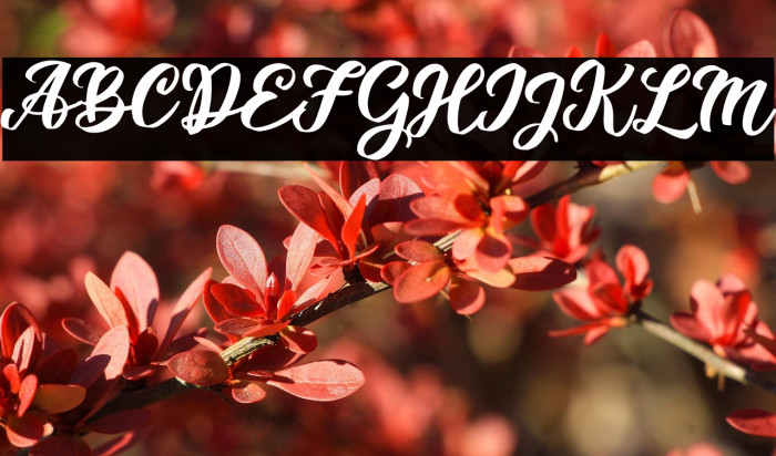 Takashi Minta Example 2