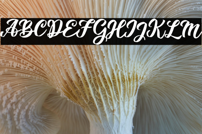 Takashi Minta Example 3