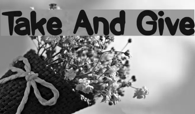 Take And Give Font examples