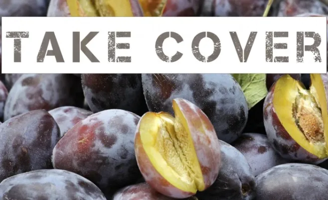 Take Cover Example 1